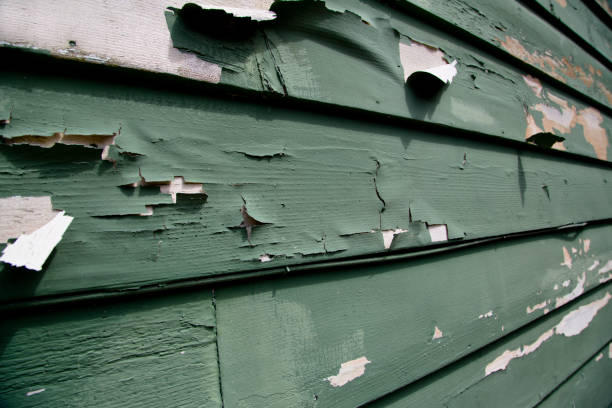 Best Siding for New Construction  in Pollock Pines, CA