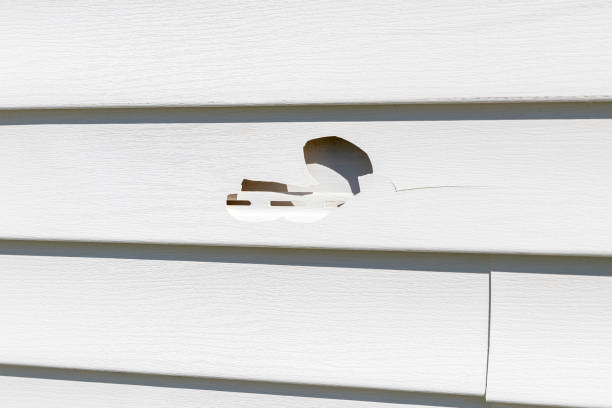 Storm Damage Siding Repair in Pollock Pines, CA