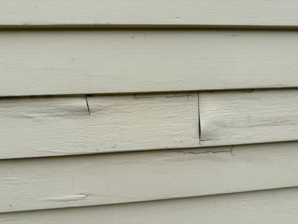 Best Aluminum Siding Installation  in Pollock Pines, CA