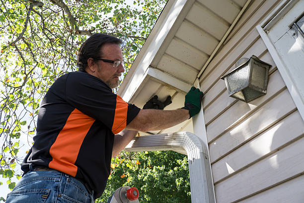 Best Residential Vinyl Siding Installation  in Pollock Pines, CA